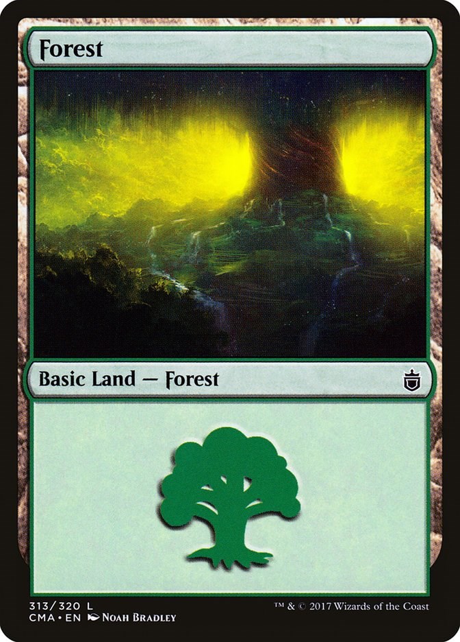 Forest (313)