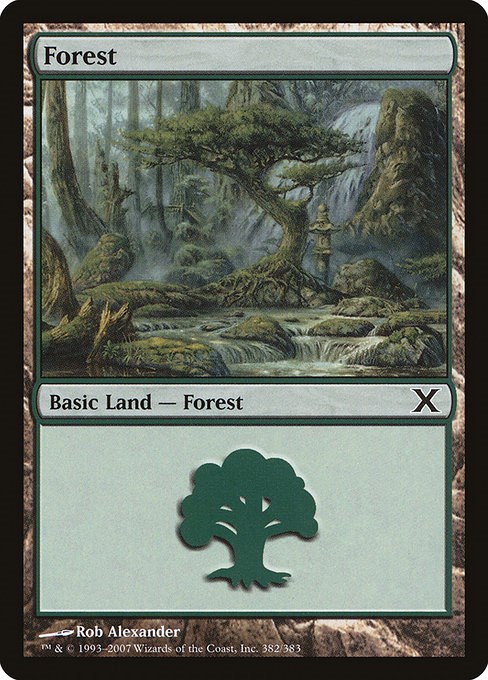 Forest (382)