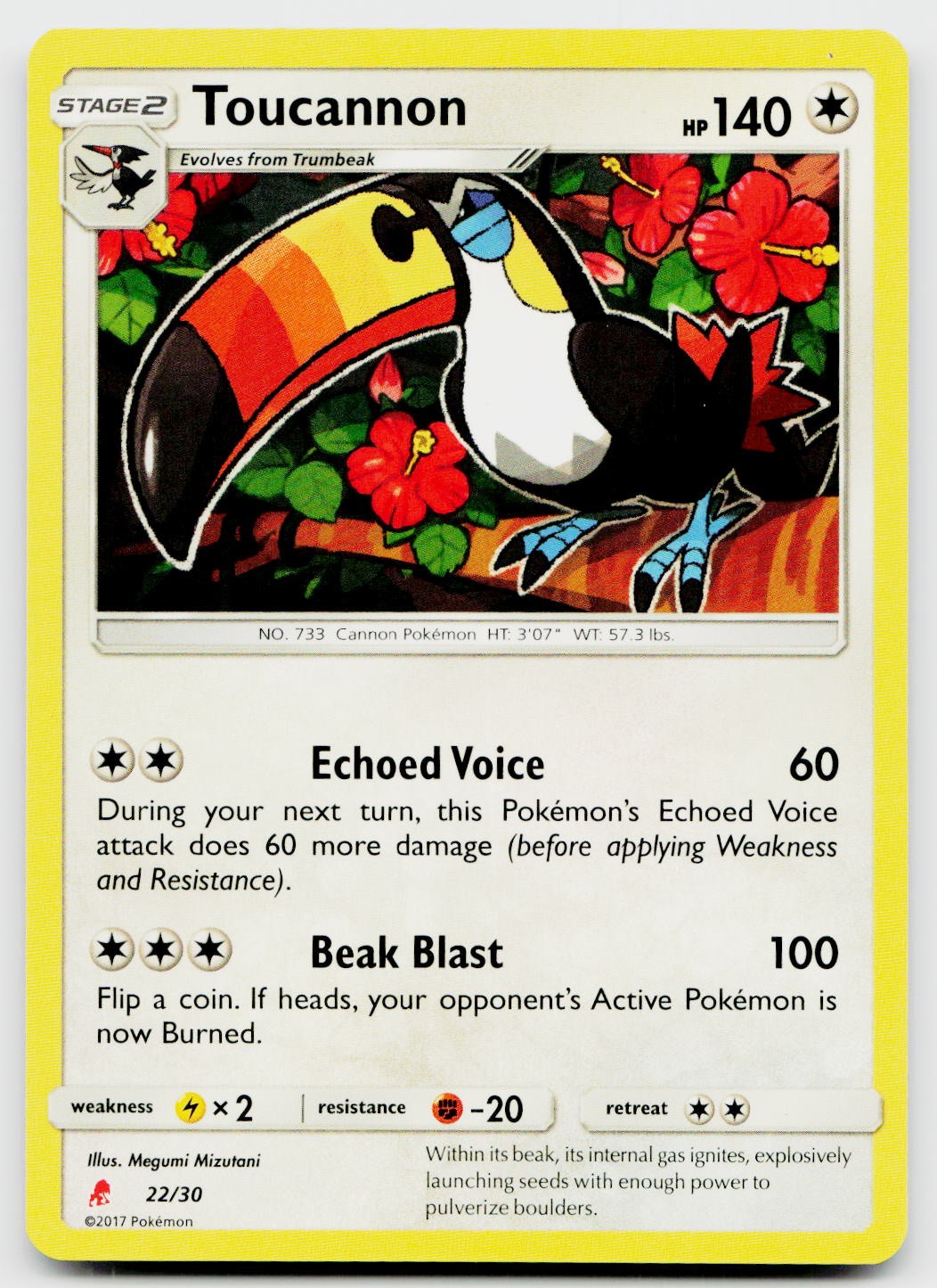Toucannon
