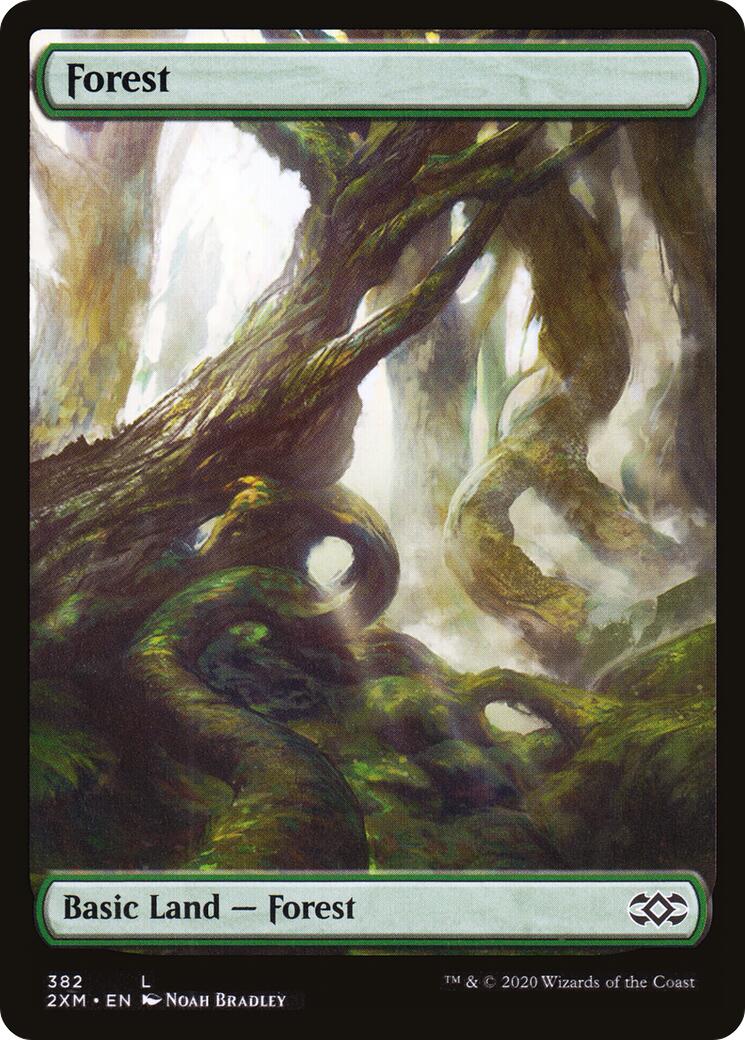 Forest (382)