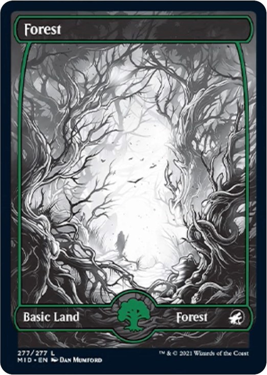 Forest (277)