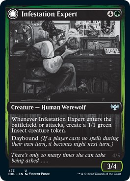 Infestation Expert