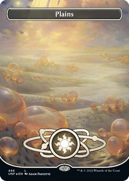 Plains (486) (Borderless) (Galaxy Foil)