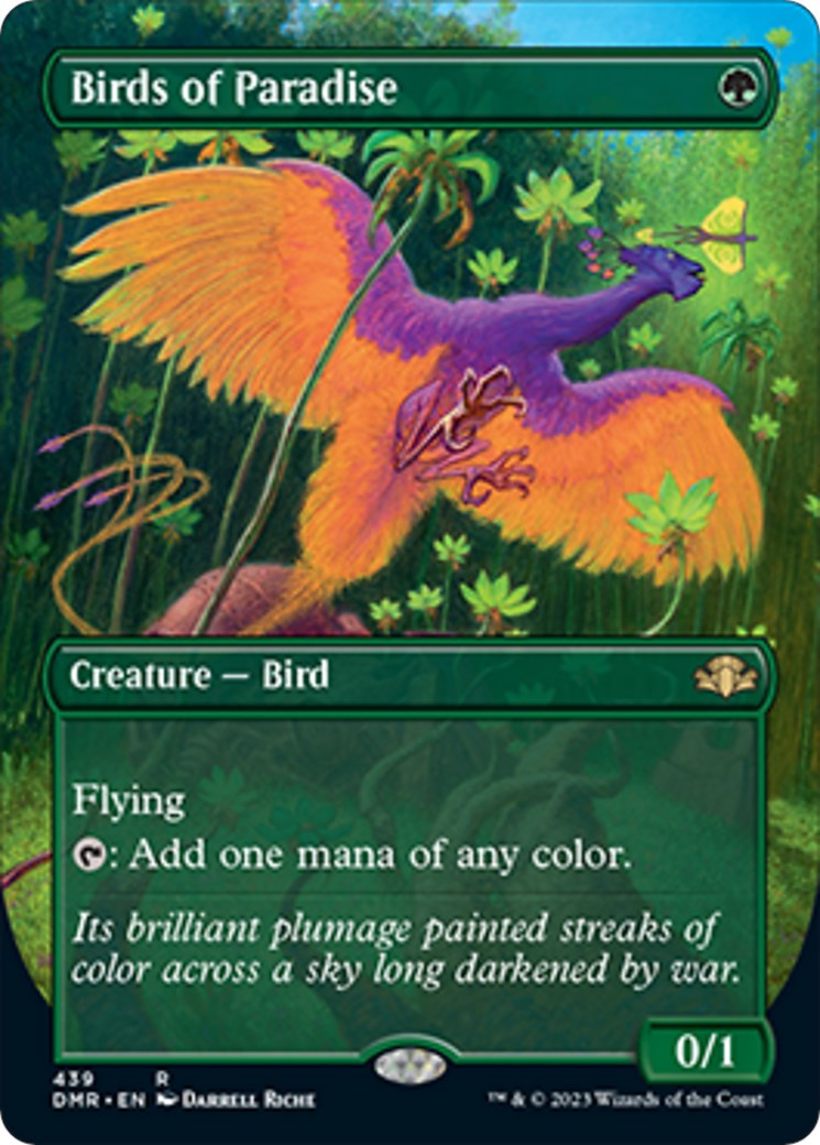 Birds of Paradise (Borderless)