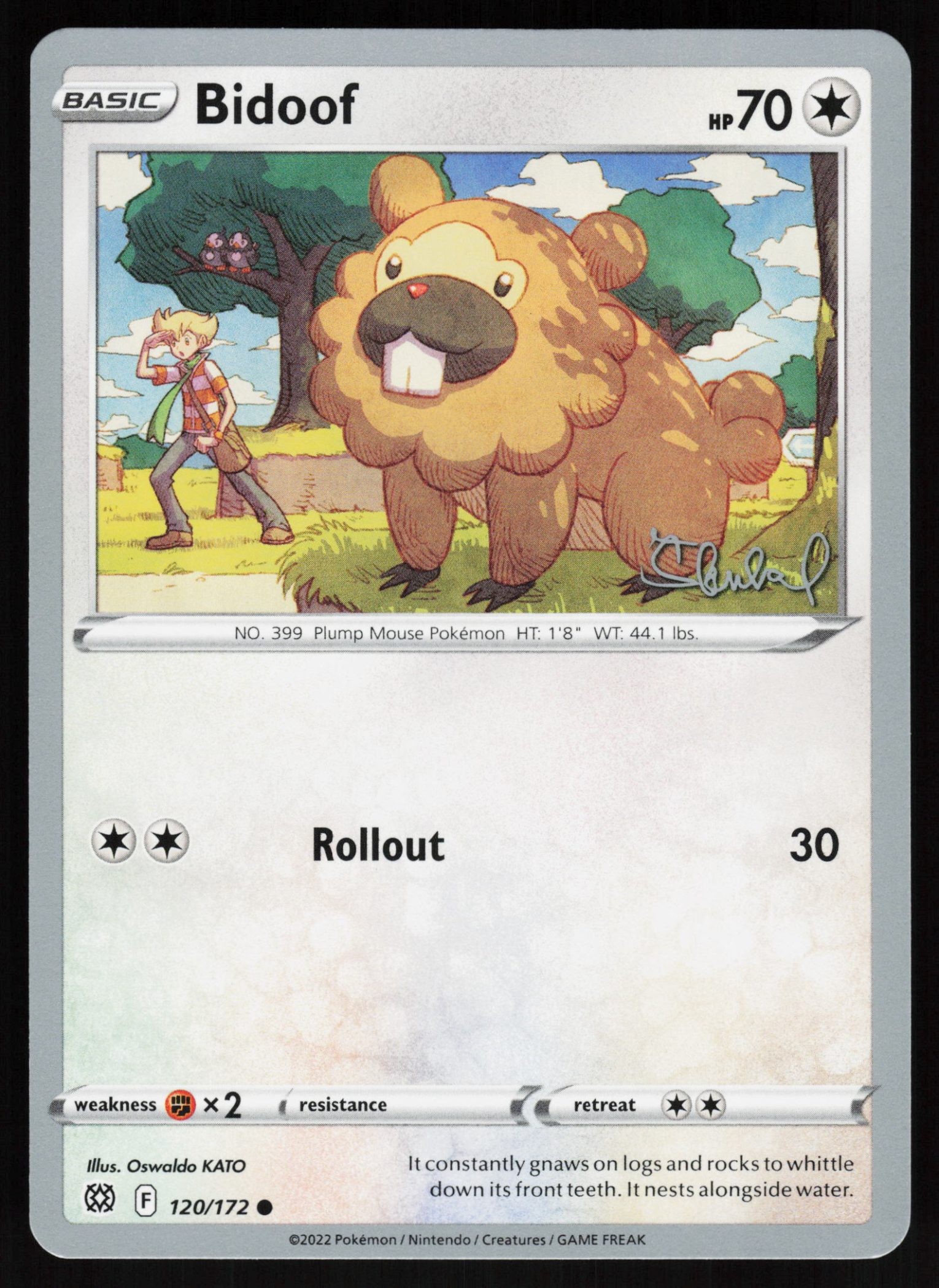 Bidoof - 2022 (Ondrej Skubal)