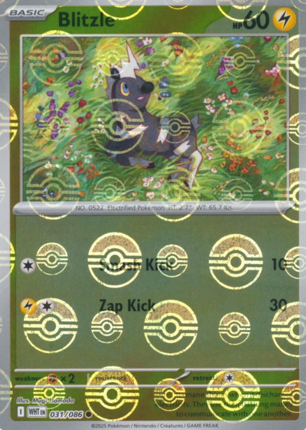 Blitzle (Poke Ball Pattern)