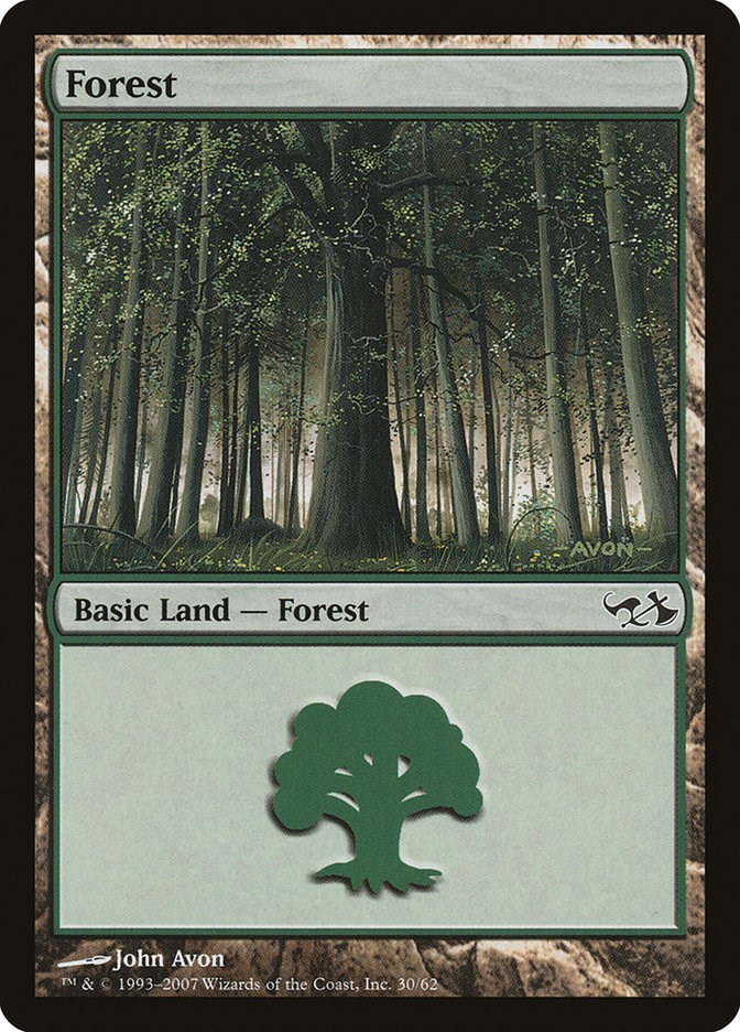 Forest (30)