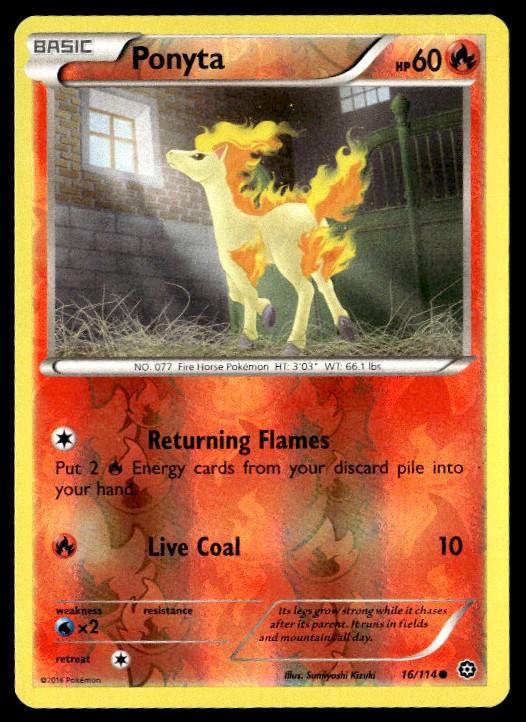 Ponyta