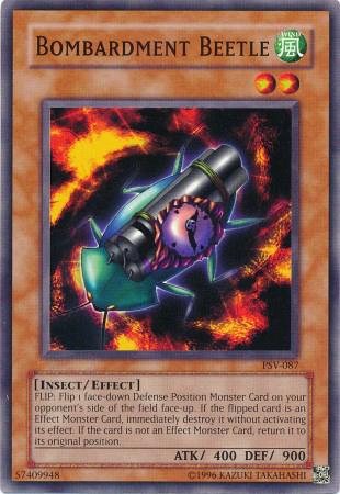 Bombardment Beetle