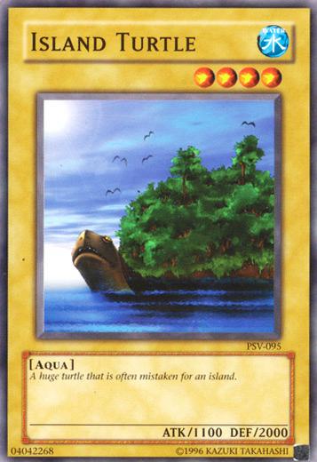 Island Turtle