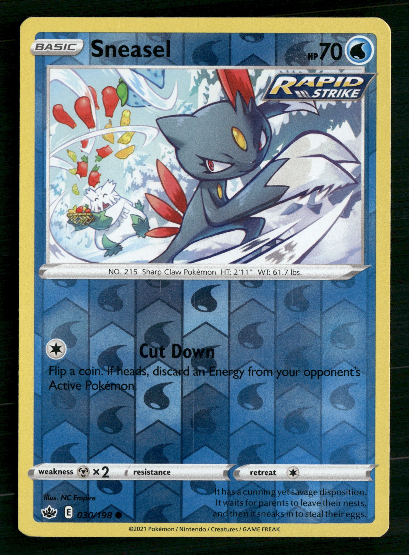 Sneasel
