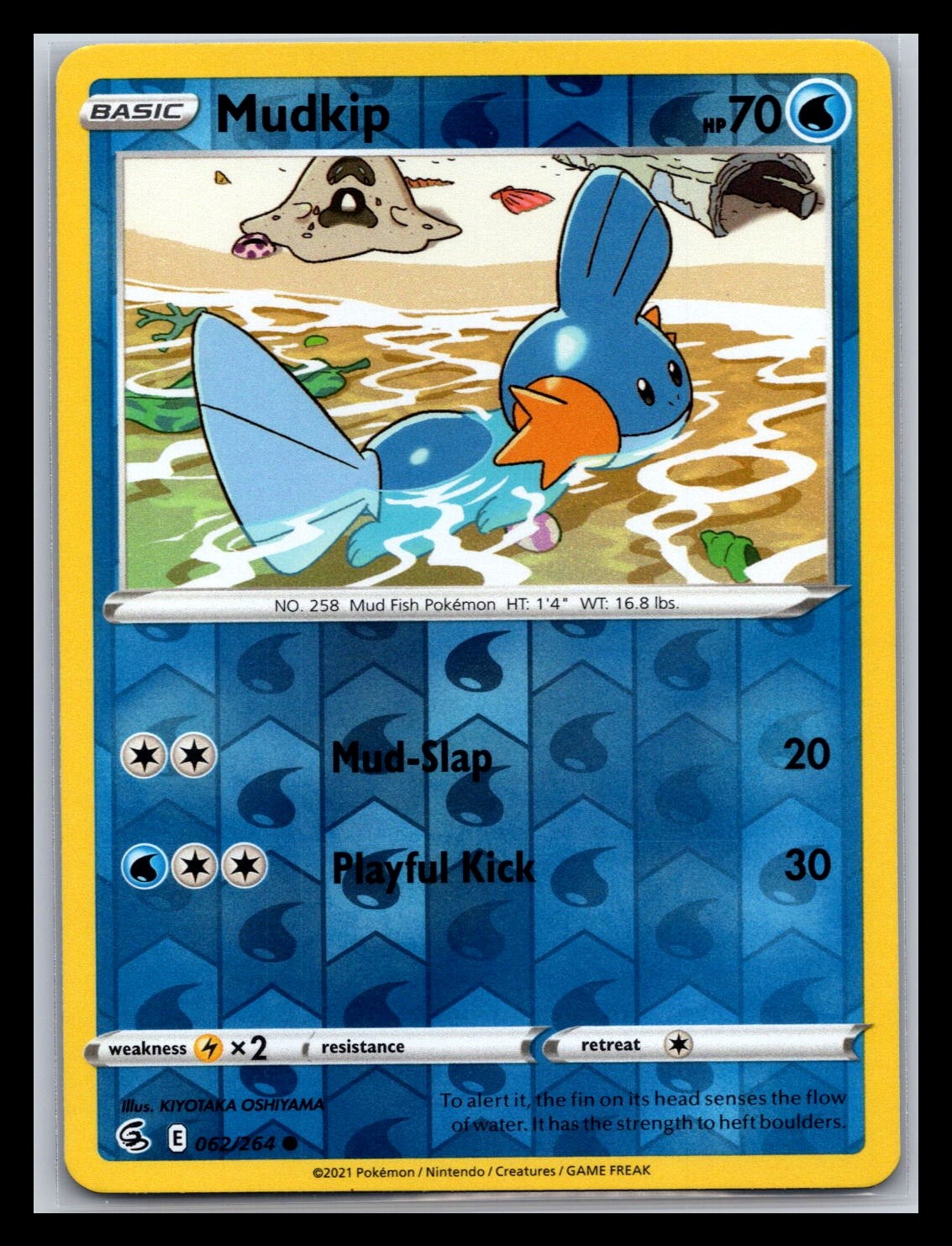 Mudkip