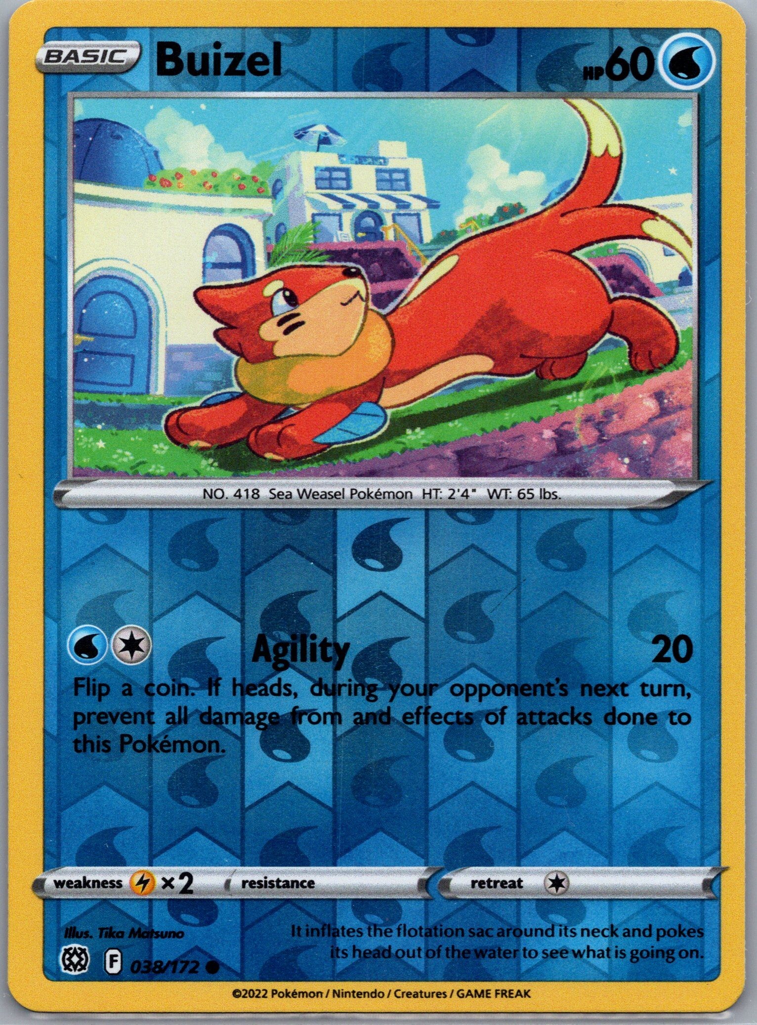 Buizel