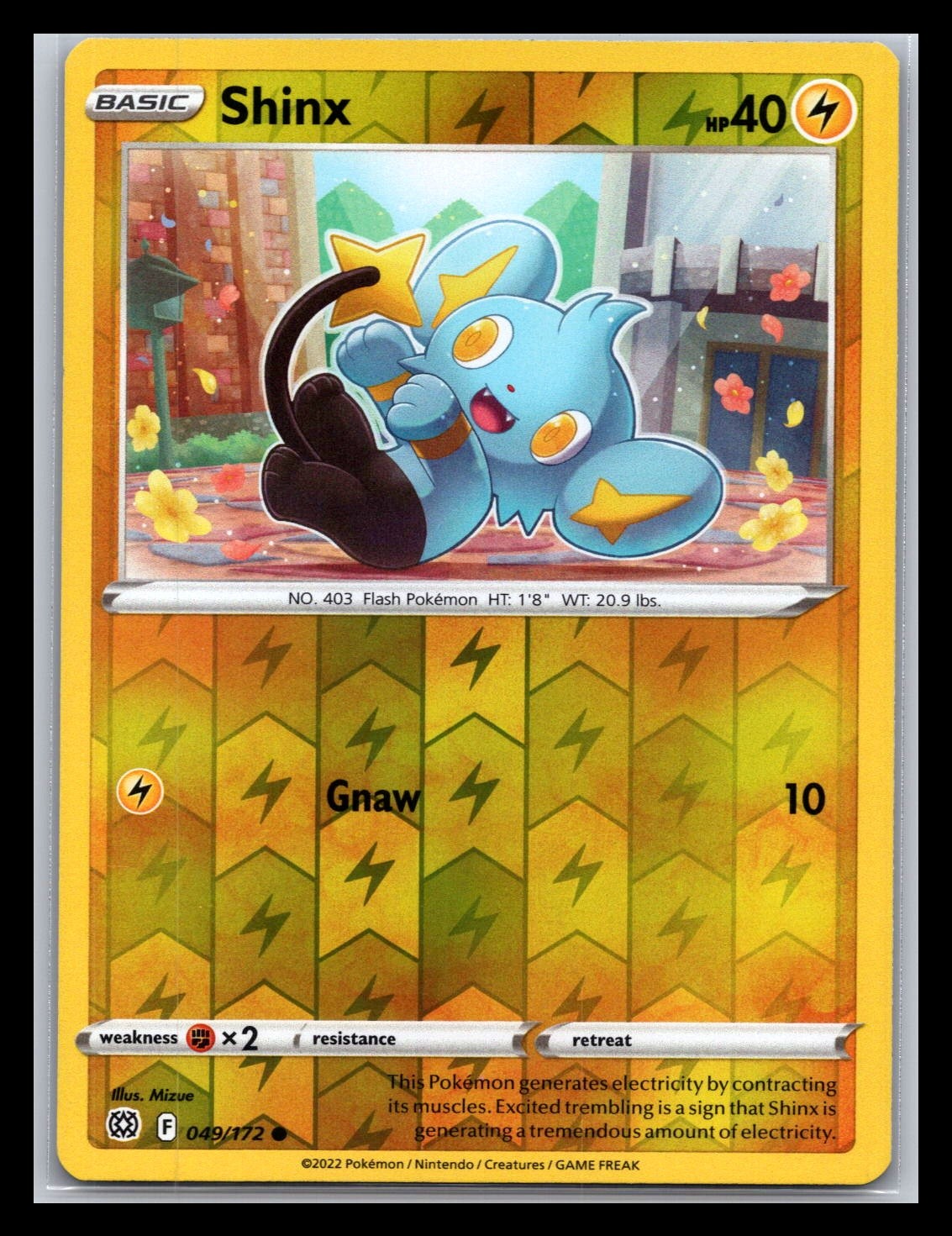 Shinx