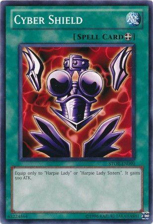 Cyber Shield