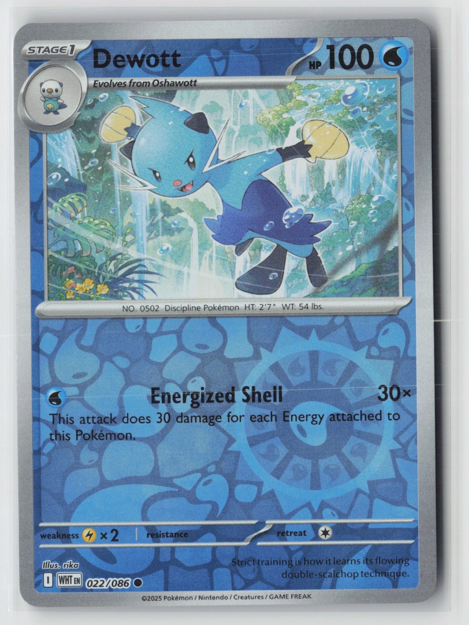 Dewott