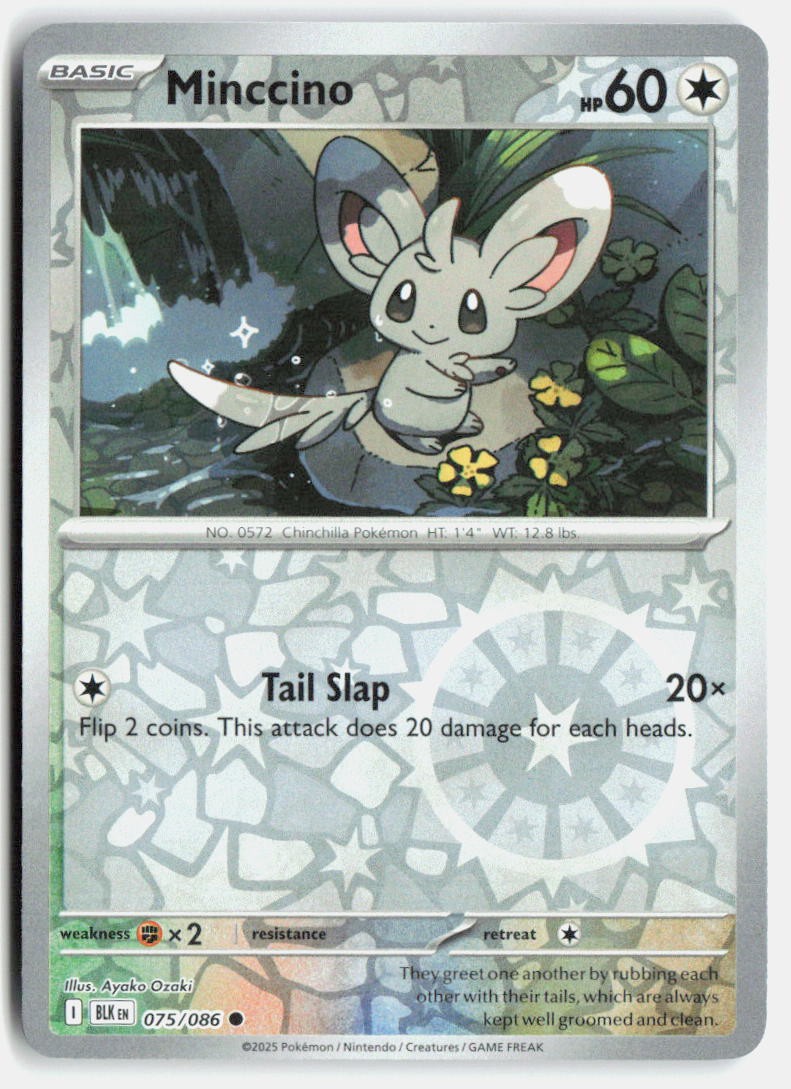 Minccino