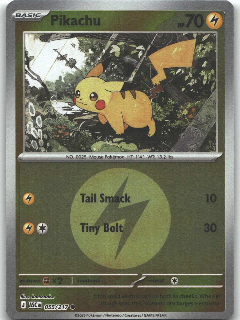 Pikachu (Energy Symbol Pattern)
