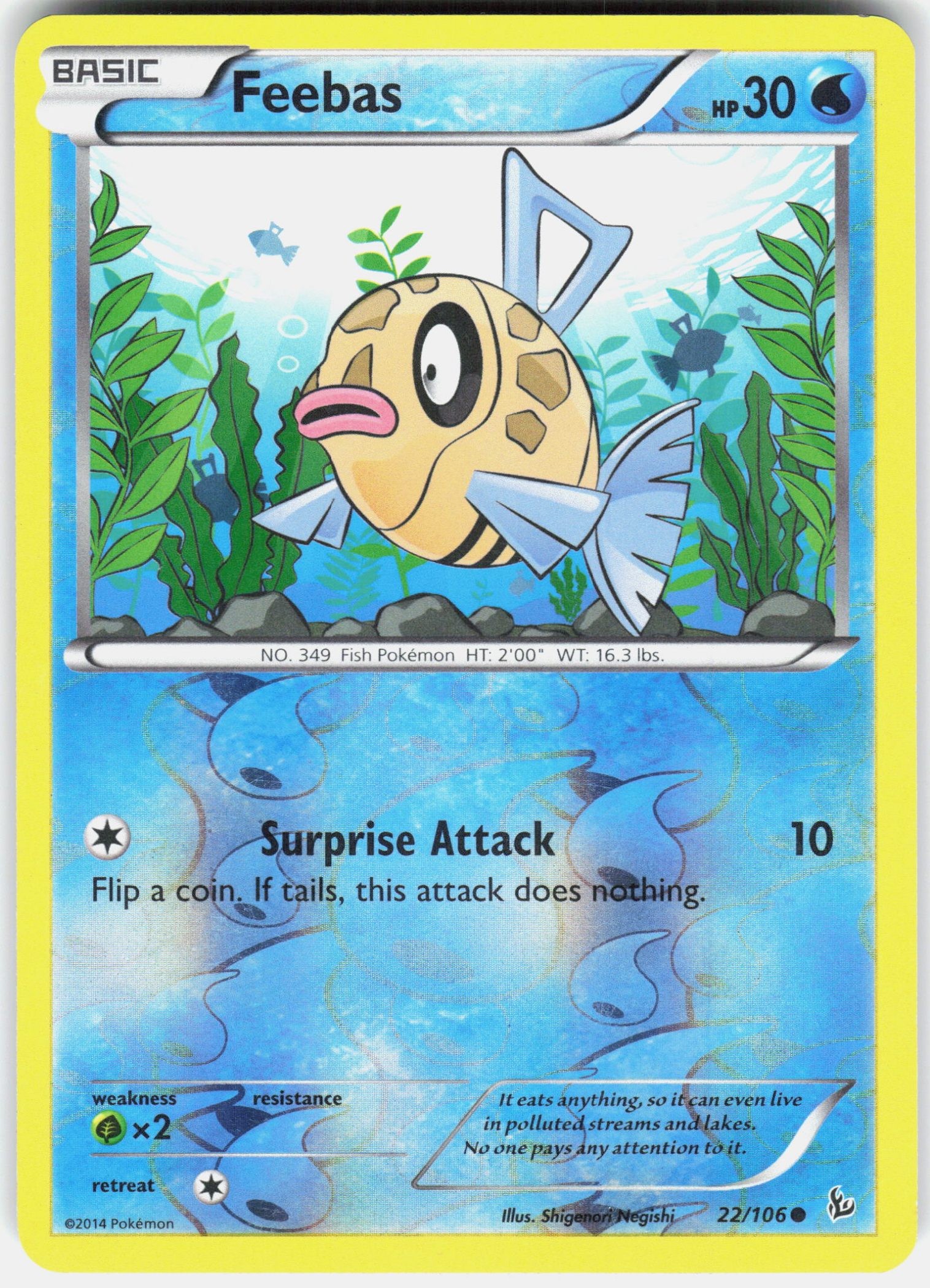 Feebas
