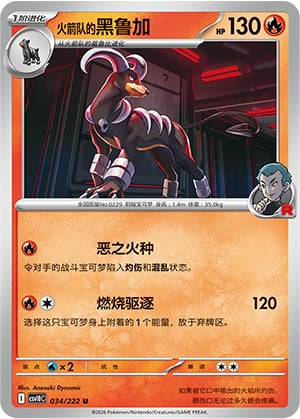 Team Rocket's Houndoom - 34